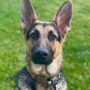 Meet your Posher, Maria